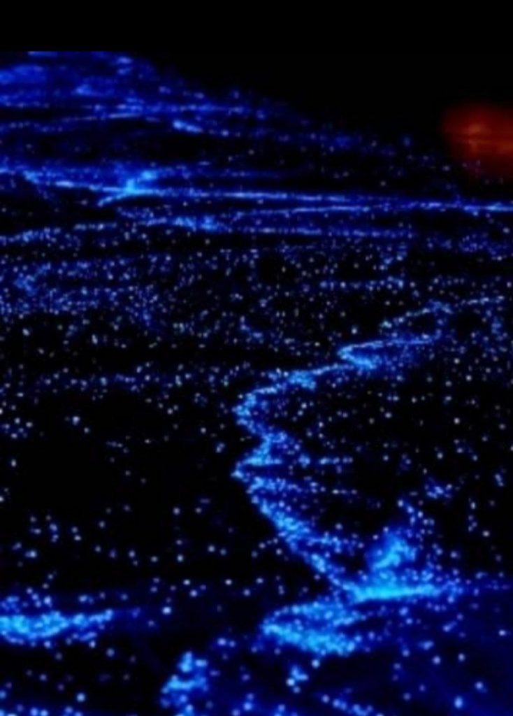 the sea of stars maldives