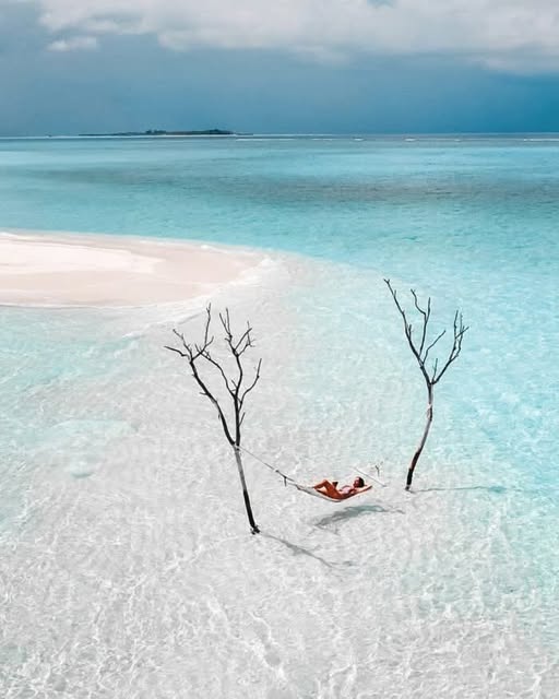 sandback_Emily Grace_Fushifaru